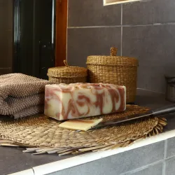 Pain de Shampoing solide pour cheveux normaux à tendance sèche format économique