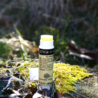 Stick à lèvres naturel, karité, Calendula et huiles bio