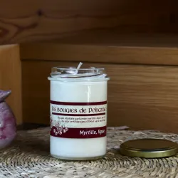 Bougie parfumée myrtille figue