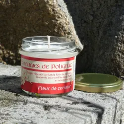 bougie végétale fleur de cerisier