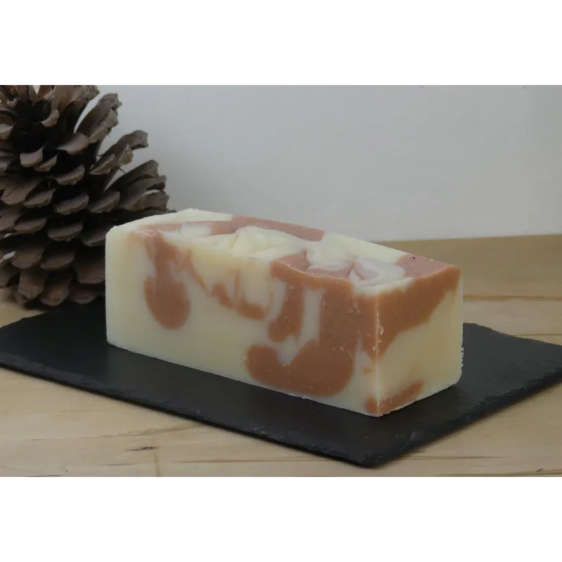 Pain de Shampoing solide pour cheveux normaux à tendance sèche format économique