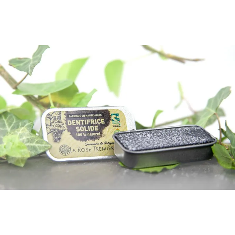 Dentifrice Solide Menthe/Girofle