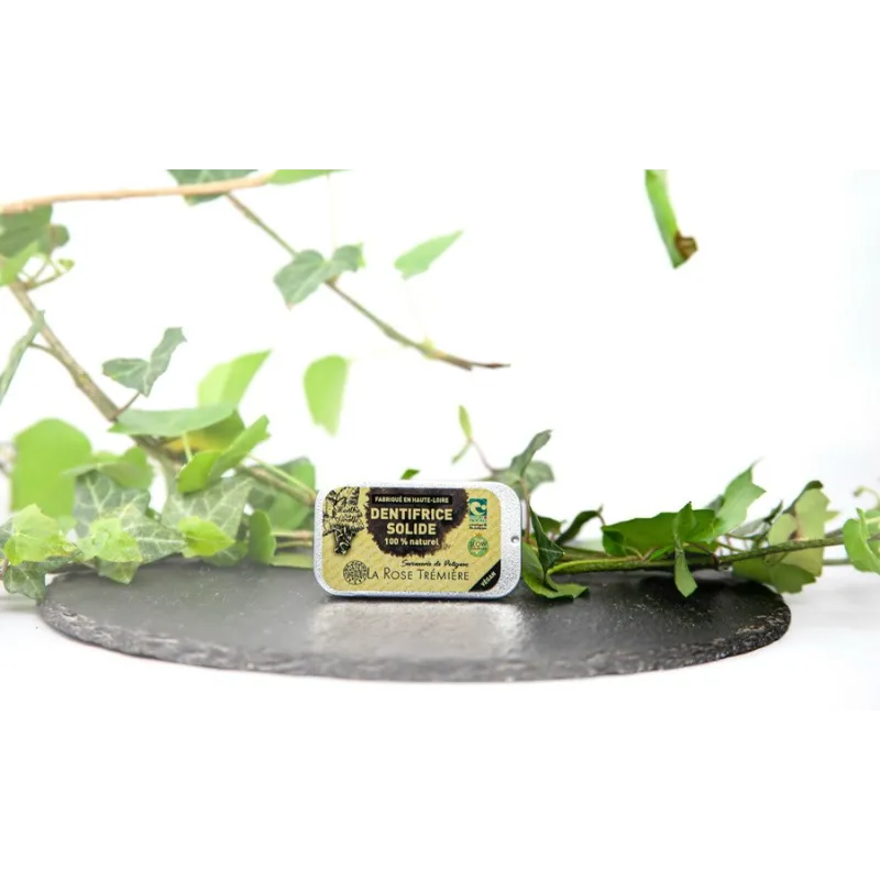 Dentifrice Solide Menthe/Girofle