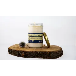 Bougie végétale myrtille