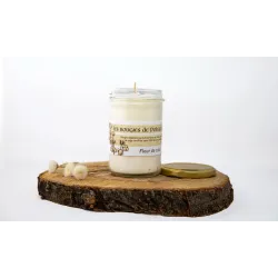 Bougie végétale fleur de coton