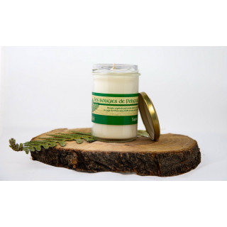 Bougie Végétale Sapin