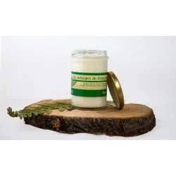 Bougie Végétale Sapin