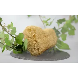 Loofah naturel en fibres de courge - Exfoliation écolo