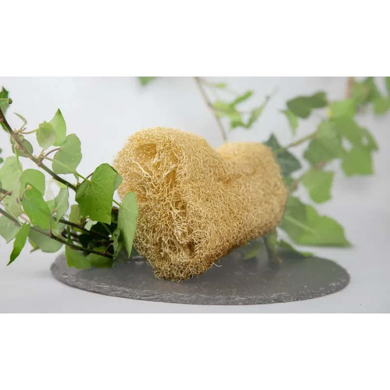 Loofah naturel en fibres de courge - Exfoliation écolo