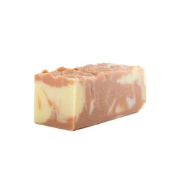 Pain de Shampoing solide pour cheveux normaux à tendance sèche format économique